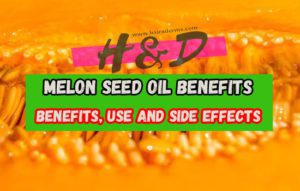 what is melon seed oil