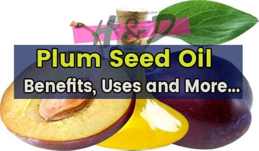plum seed oil uses