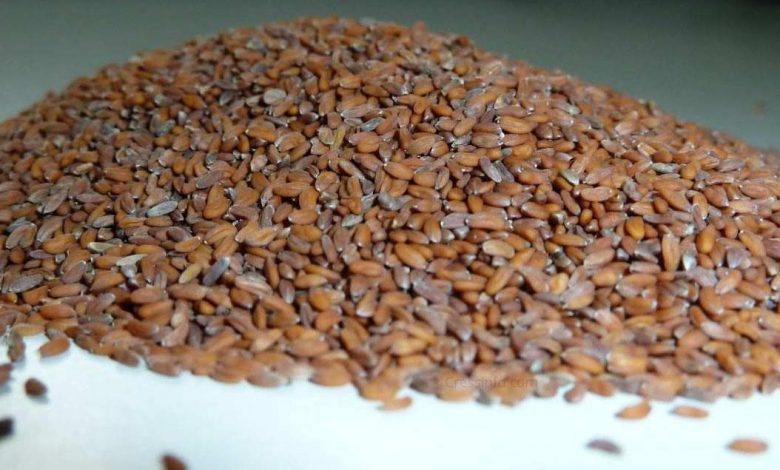cress seed oil