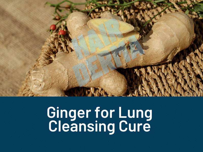 Ginger for lung cleansing cure
