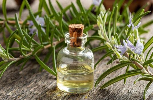 Rosemary Essential Oil 2023 (The Most Comprehensive Guide)