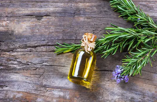 Use and practical advice on rosemary essential oil