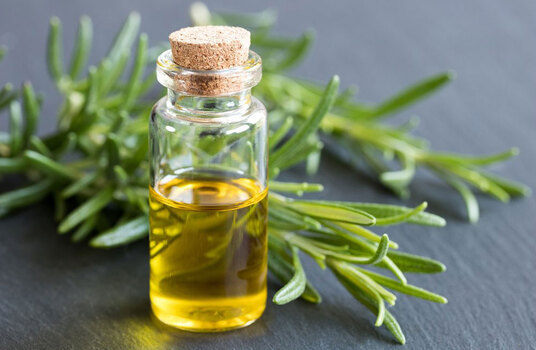 What are the contraindications of rosemary essential oil?