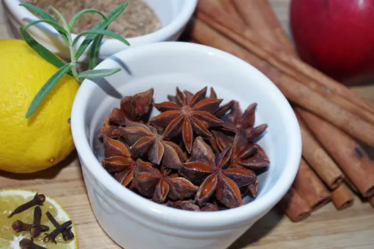 Understanding the safe usage of anise oil