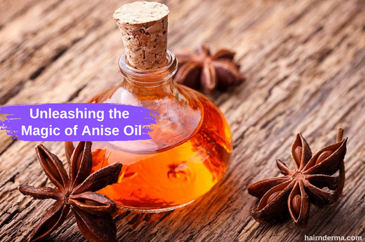 Anise seed oil benefits