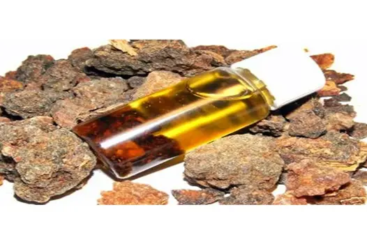 Asafoetida Essential Oil 2023