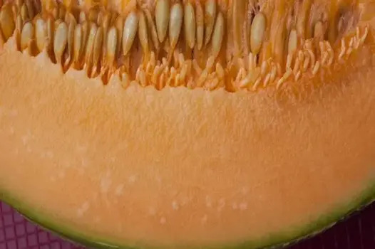 Melon seed oil benefits