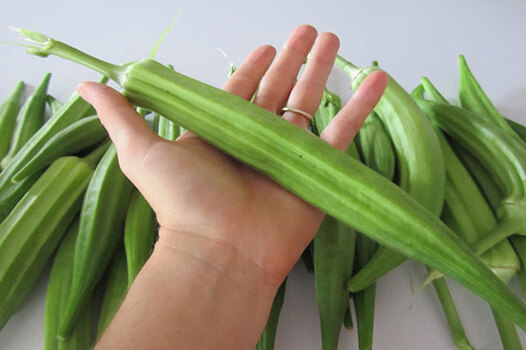 Okra benefits for hair
