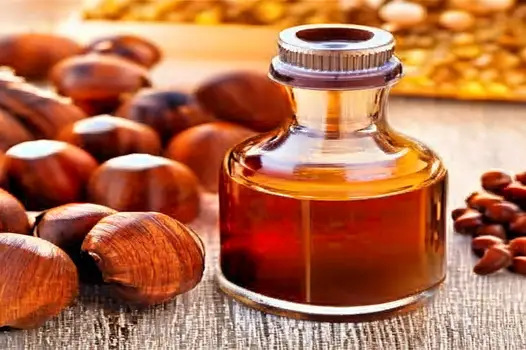 What is hazelnut oil?