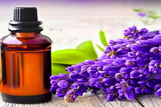 Benefits of Lavender Oil