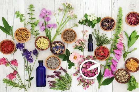 What to Avoid When Buying Essential Oils?