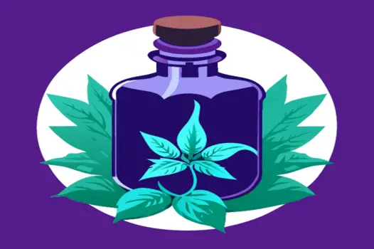 What are the Benefits of Clary Sage Oil?
