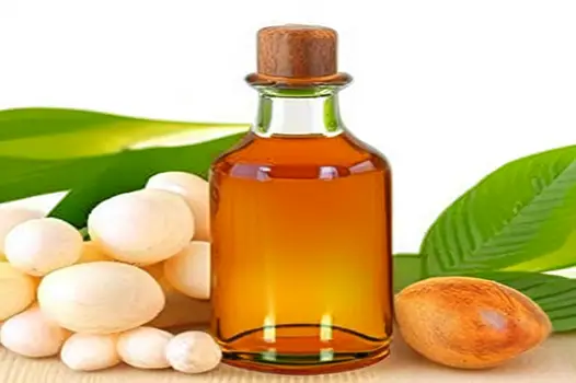 Macadamia Oil: Benefits, Uses and More in 2023